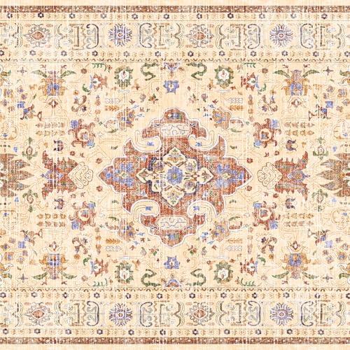 Runner Rugs for Live Room