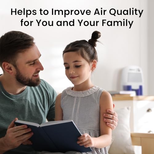 Electric Dehumidifier for Home