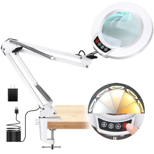 2-in-1 Desk Lamp with Light