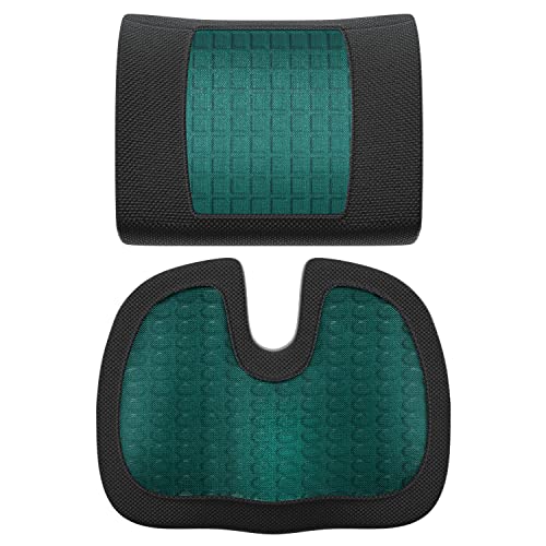 Back Support Cushion