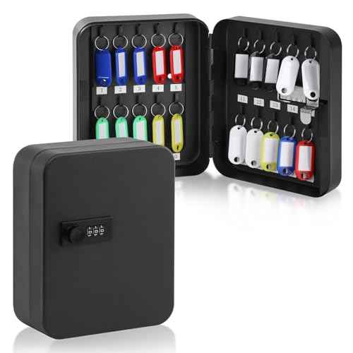 Key Cabinet Wall Mount with Lock