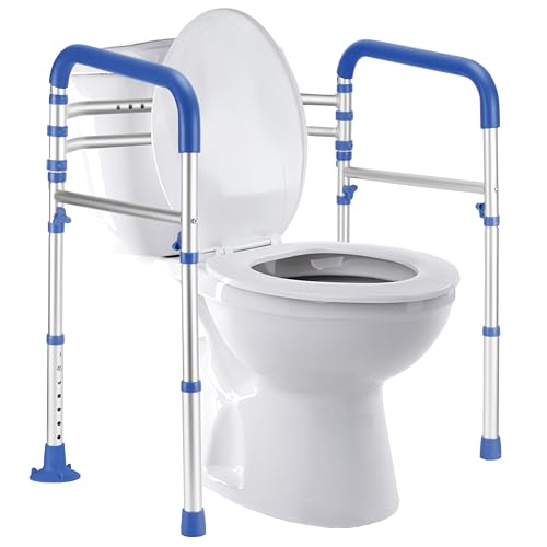 Toilet Safety Rails