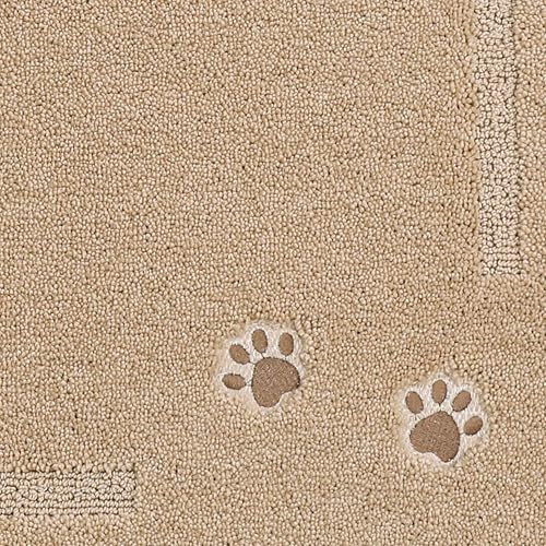 Dog-Door-Mat Non-Slip Entryway Rug Resist Dirt Indoor Door Mats Low-Profile Welcome Mat Washable Front Door Mat Absorbent Dog Mat for Dirty & Wet Paws and Wet Shoes