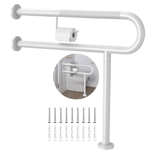 Toilet Grab Bar