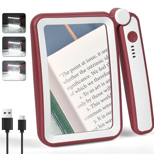 Rechargeable Magnifying Glass with Light for Reading