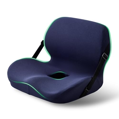 Seat and Back Cushion