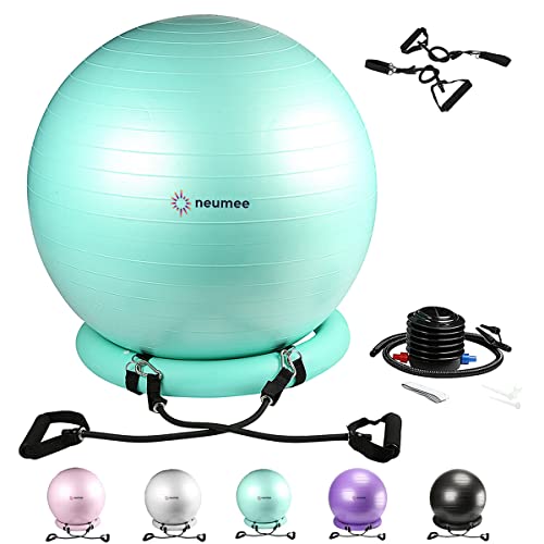 Yoga Ball Chair with 65cm Exercise Ball & 2 Resistance Bands