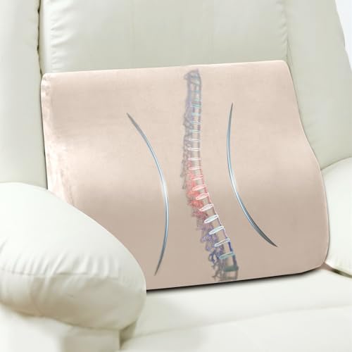 Lumbar Support Pillow for Recliner Chair