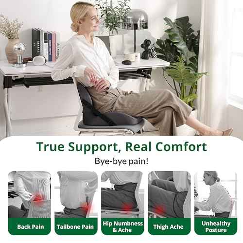 Seat and Back Cushion