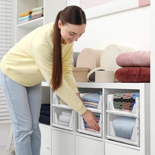 Shelf Organizer
