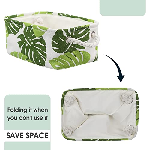 Storage Basket for Organizing