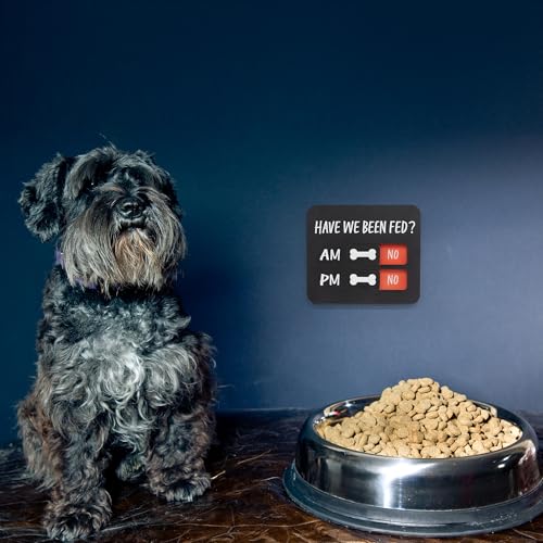 Dog Feeding Reminder