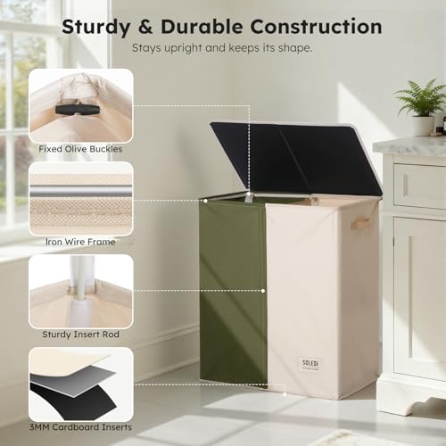 Double Laundry Hamper with Lid and Handle
