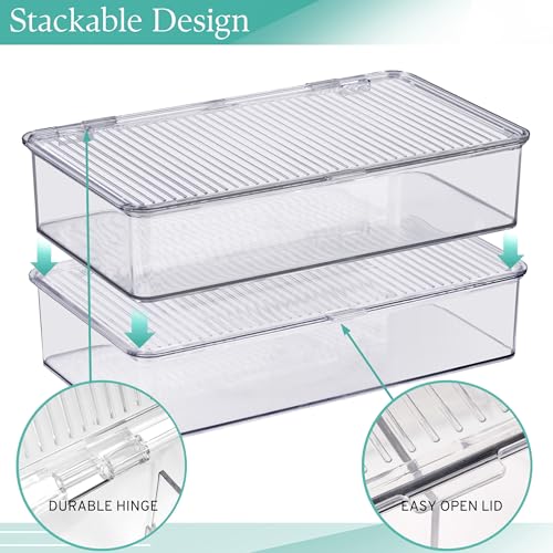 Storage Bins for Pantry & Fridge with Hinged Lids