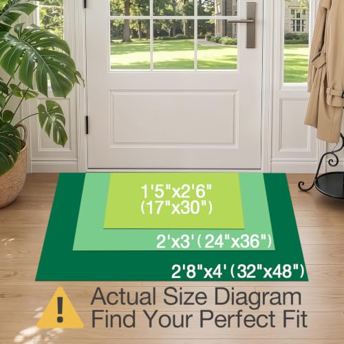 Ultra Thin Indoor Door Mat