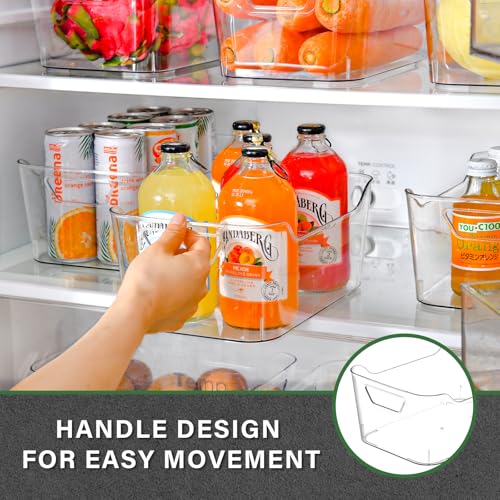 Clear Plastic Storage Bins