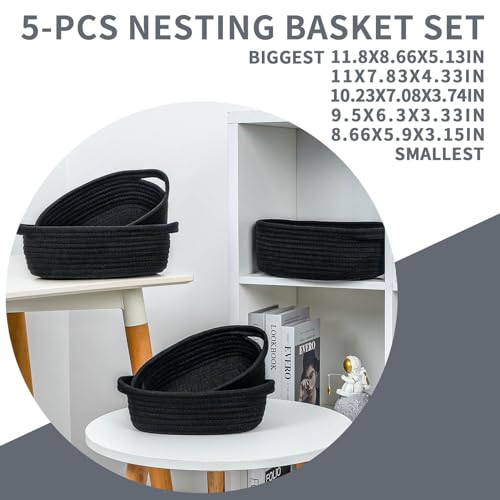 Multi Purpose Storage Basket 5