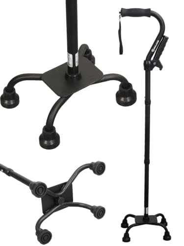 WHLICS Walking Cane