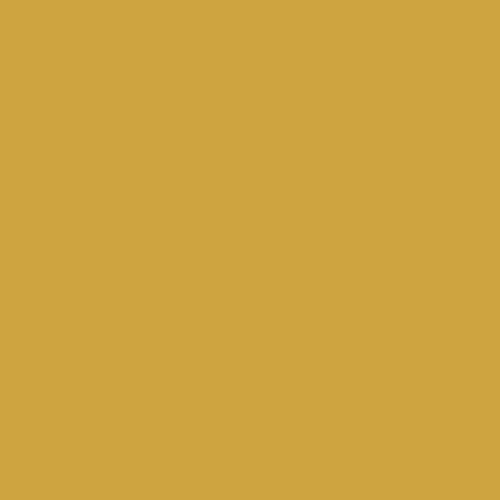 Meditation Cushion
