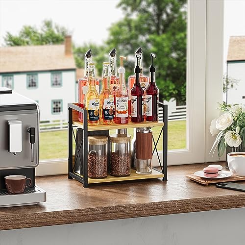 2 Tier Spice Rack
