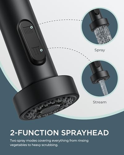 Kitchen Faucet with Pull Down Sprayer