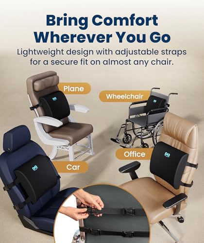 The Original Lumbar Support Pillow