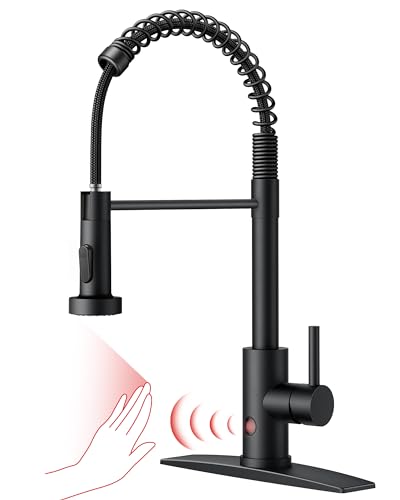 Kitchen Faucet with Pull Down Sprayer