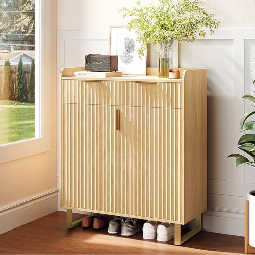 Shoe Cabinet with Doors