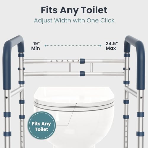 Toilet Safety Rails