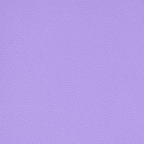 2027 Planner Weekly and Monthly Planner