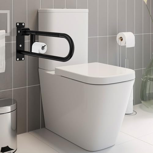 Toilet Grab Bar
