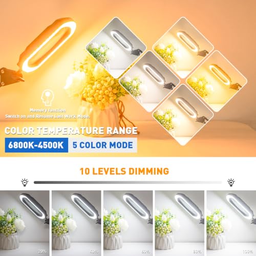 Square Magnifying Glass with Light and Stand