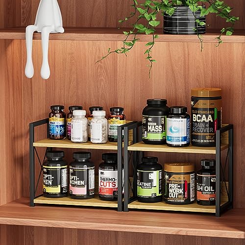 2 Tier Spice Rack