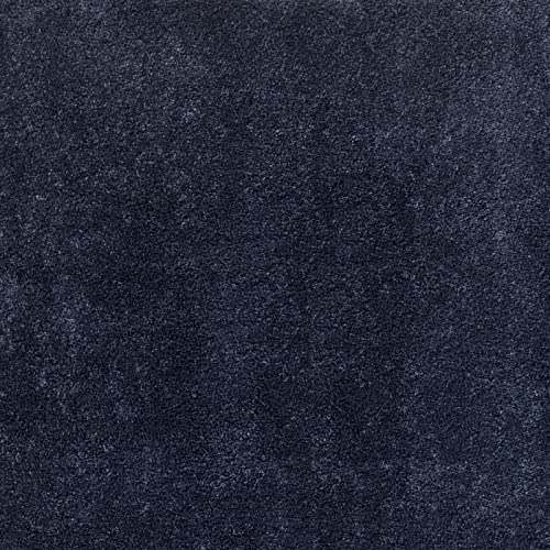 Dirt Trapping Indoor Door Mat