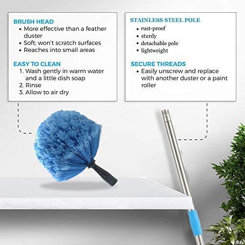Cobweb Duster with Extension Pole