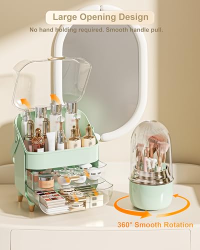Makeup Organizer Countertop
