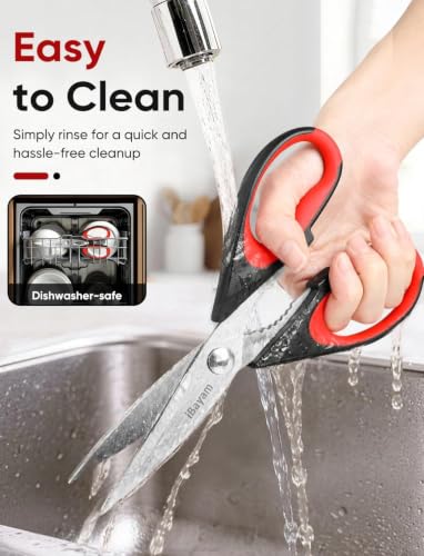 Kitchen Scissors