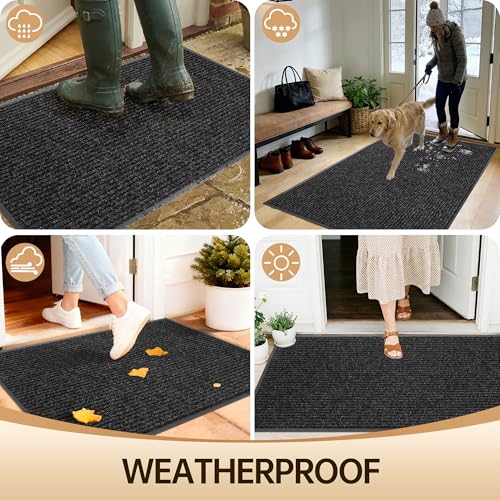 Front Door Mat Indoor Outdoor Entrance
