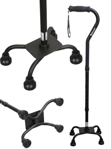 WHLICS Walking Cane