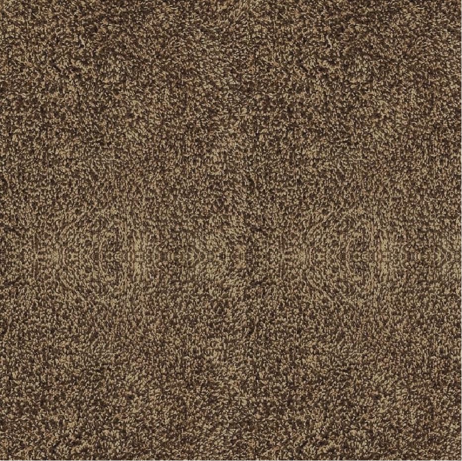 Indoor Door Mat
