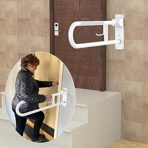 Toilet Grab Bar