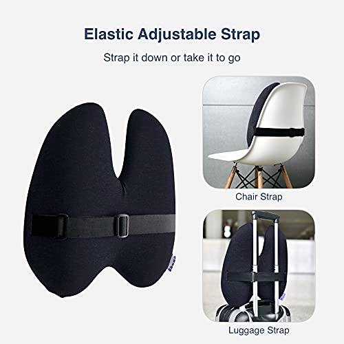 Cushion Lab Extra Dense Lumbar Pillow