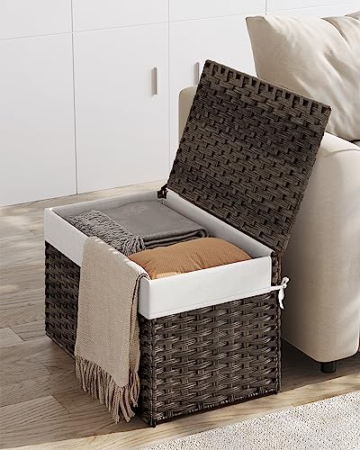 Storage Basket with Lid