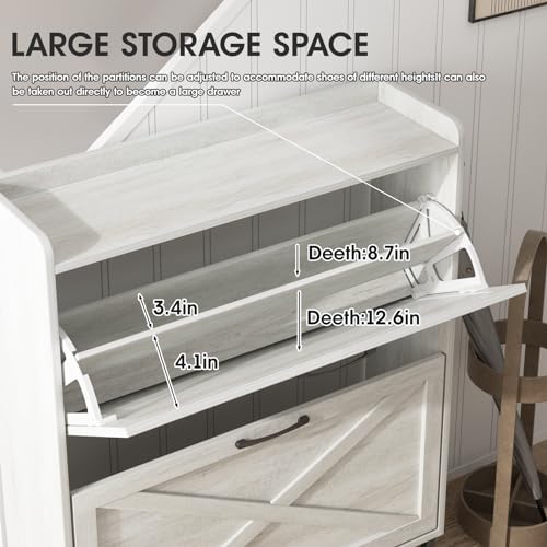 Shoe Storage Cabinet with Flip Drawers