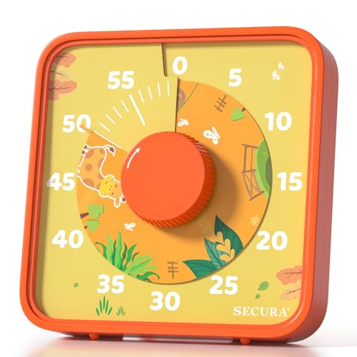 60 Minute Visual Countdown Timer