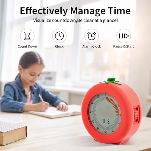 Visual Timer
