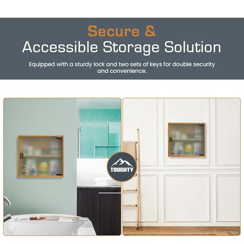 Locking Medical Cabinet