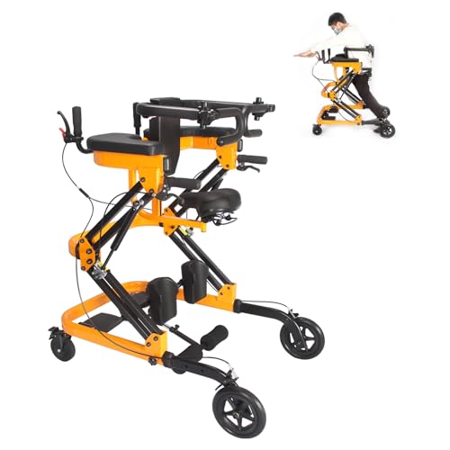 Rehabilitation Walker with Stand