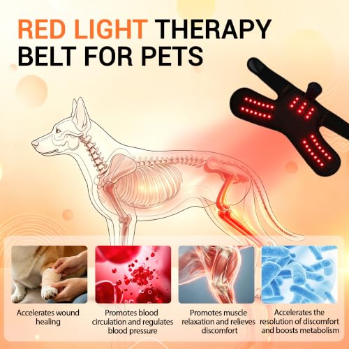 Dog Hip Brace with Red Light Therapy