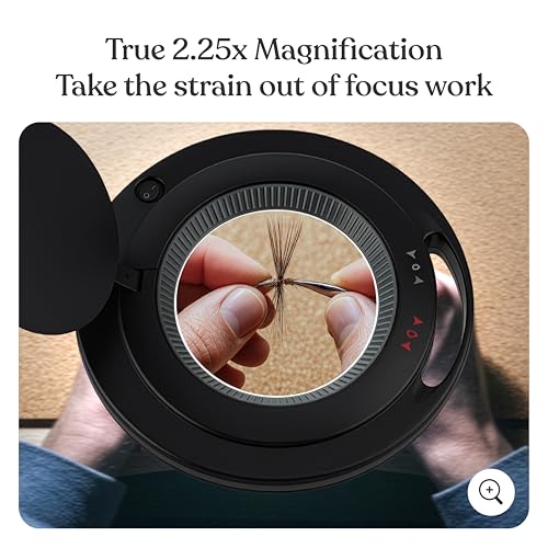 LightView PRO